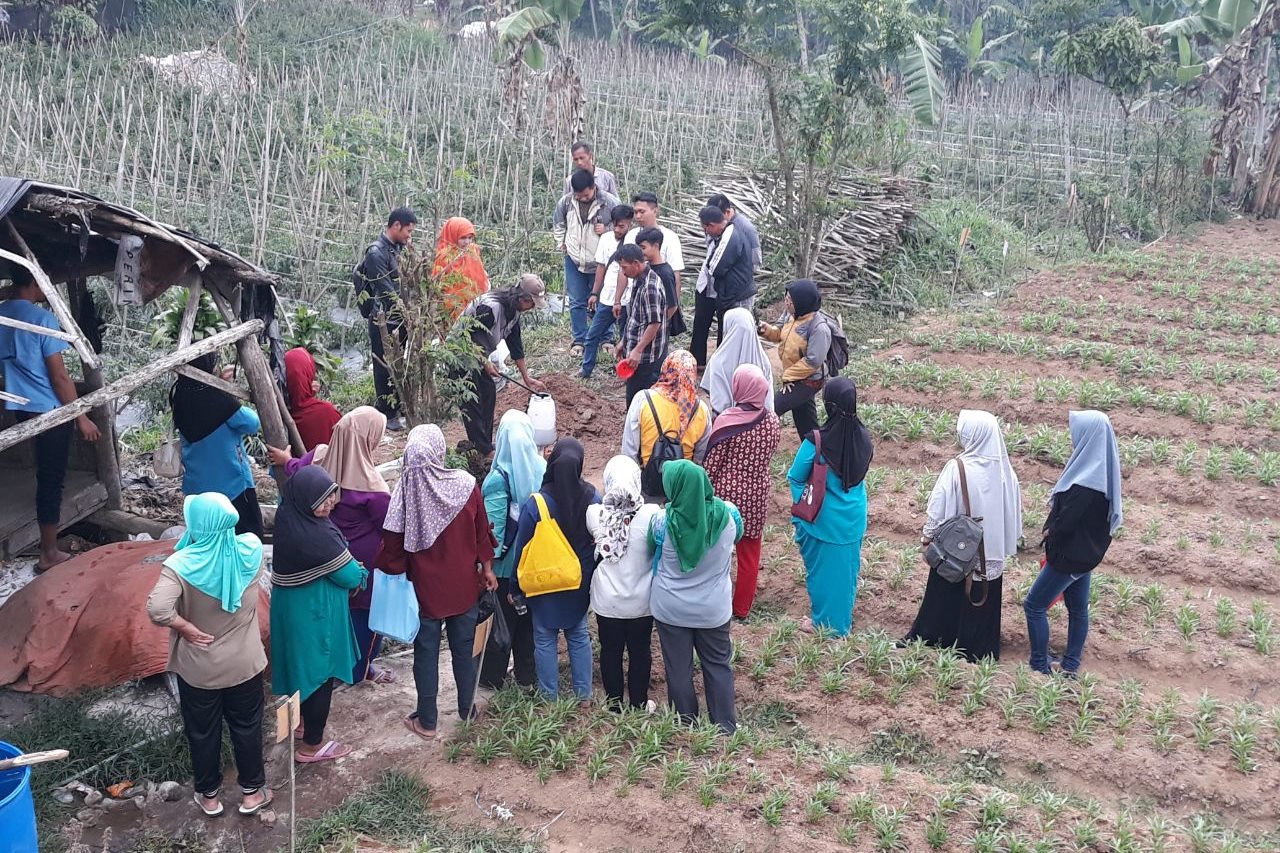 Meningkatkan Nilai Ekonomi untuk Membangun Pertanian Organik Berkelanjutan (4)