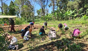 KWT Ceria mengolah lahan percontohan pertanian organik.